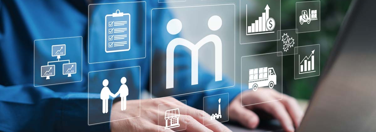 Rappresentazione grafica non attinente alla realtà di una intranet aziendale coi suoi annessi moduli, sullo sfondo una persona che usa un laptop, idealmente accedendo alla suddetta intranet